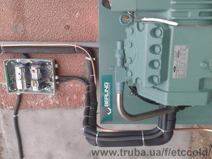 камера зберігання яблук &mdash; COLD